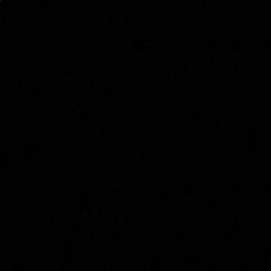 Meet your Posher, Daniella